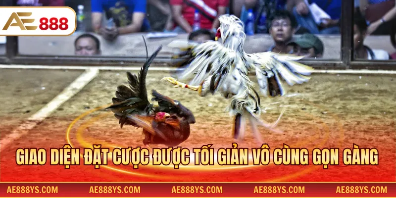 Giao diện đặt cược được tối giản vô cùng gọn gàng