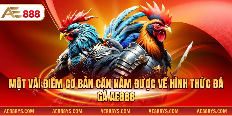 Một vài điểm cơ bản cần nắm được về hình thức đá gà AE888